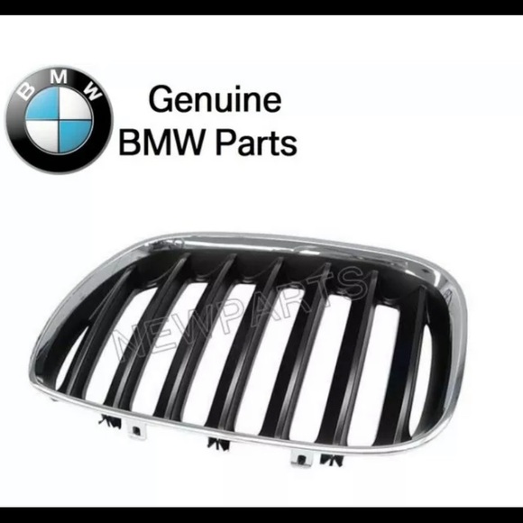 For BMW E53 X5 Front Driver Left Kidney Grille Genuine 51.13-8 247 675